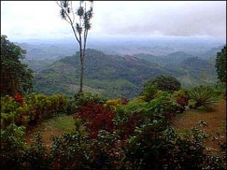 Paysage