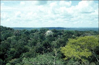 Tikal